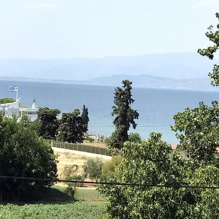 Studio Kalypso Arkitsa Exterior photo