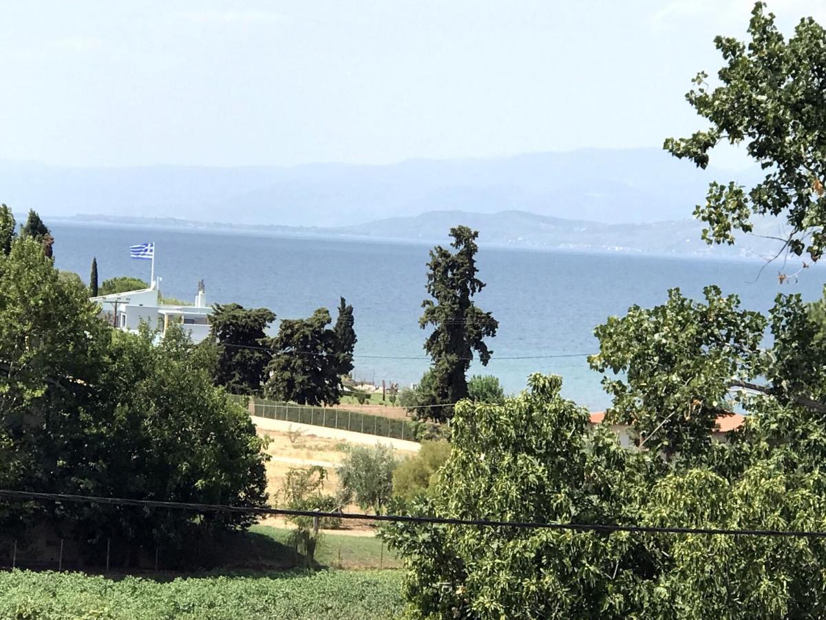 Kalypso Apartment Arkitsa