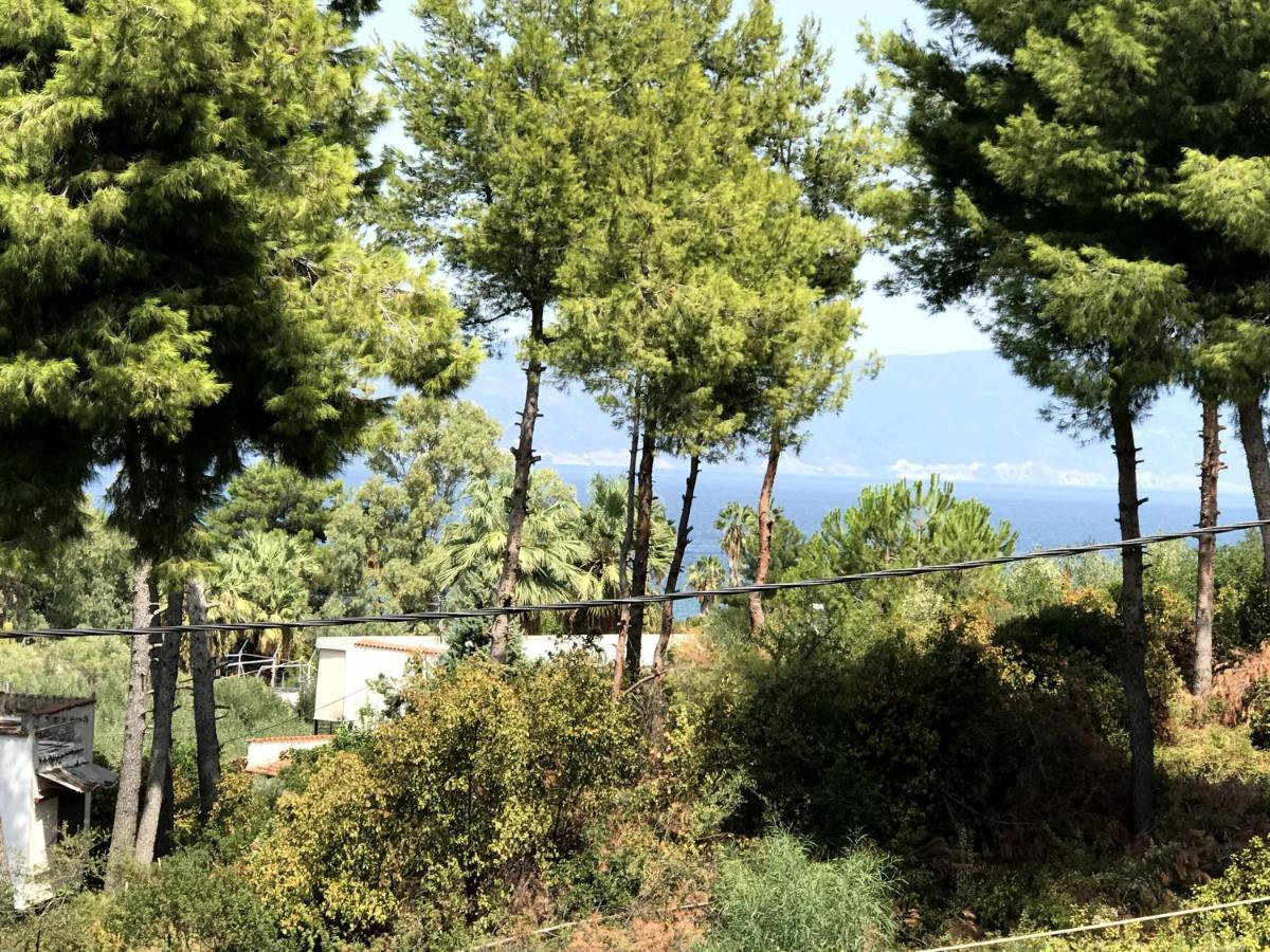 Apartment Kalypso