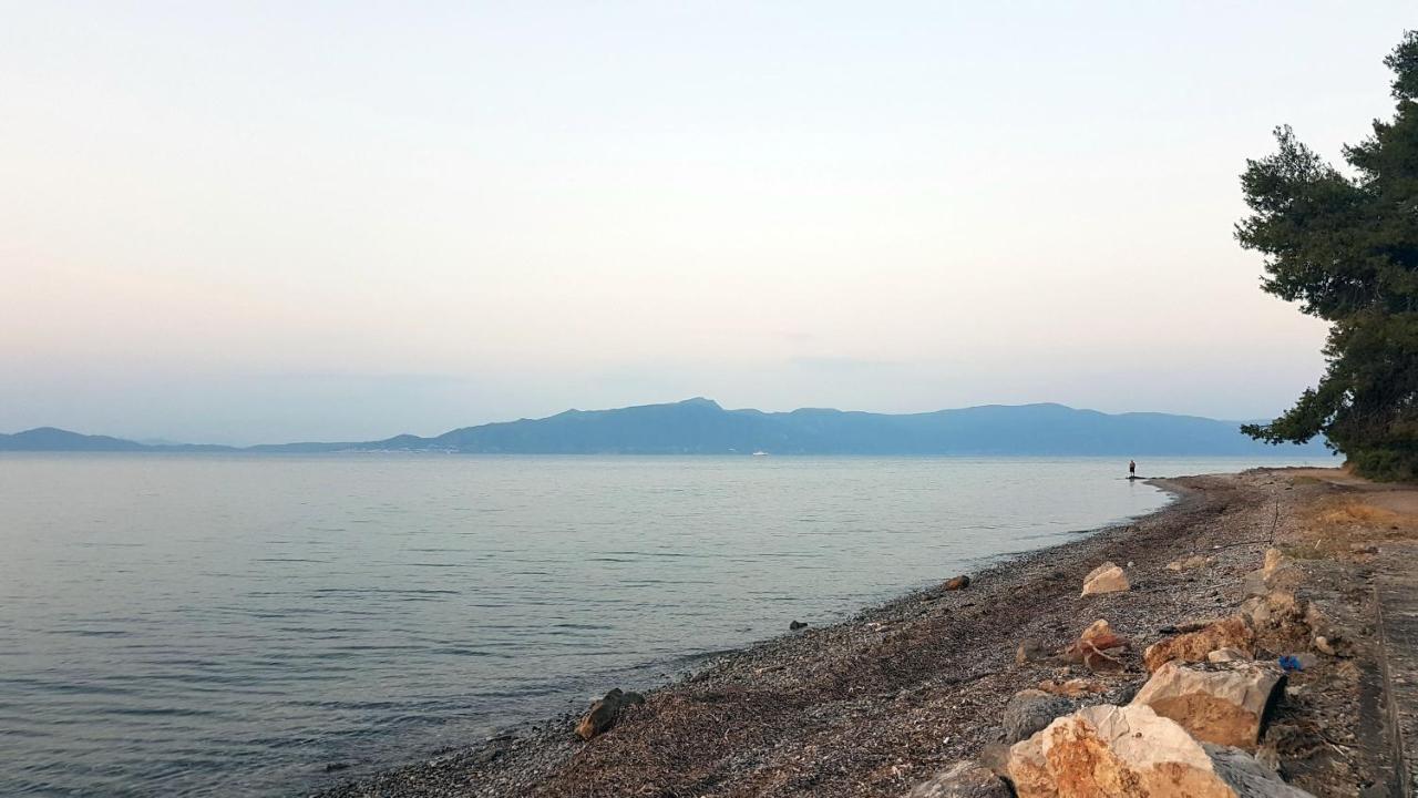 Kalypso Apartment *