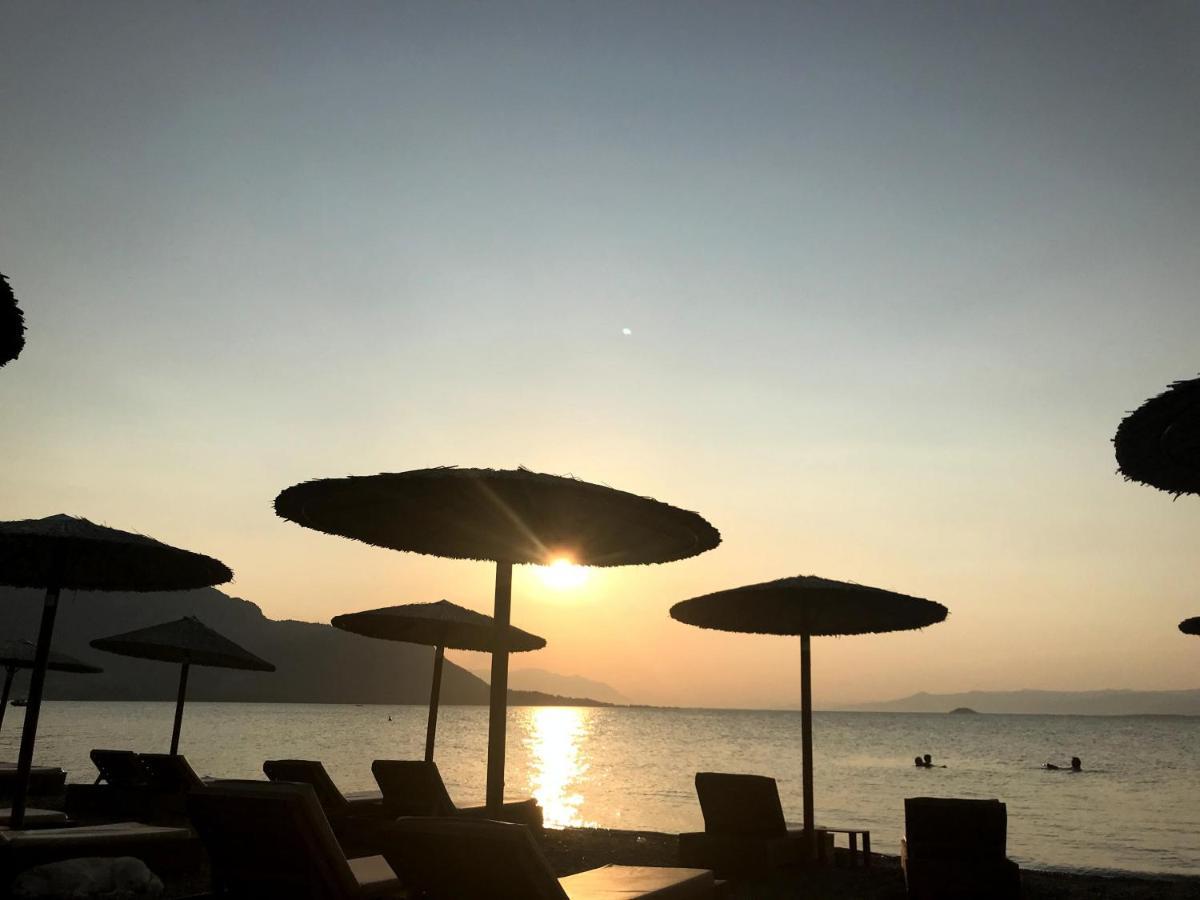 Appartement Kalypso *