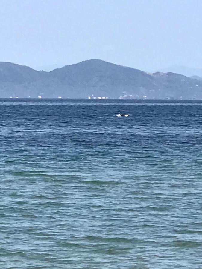 Kalypso