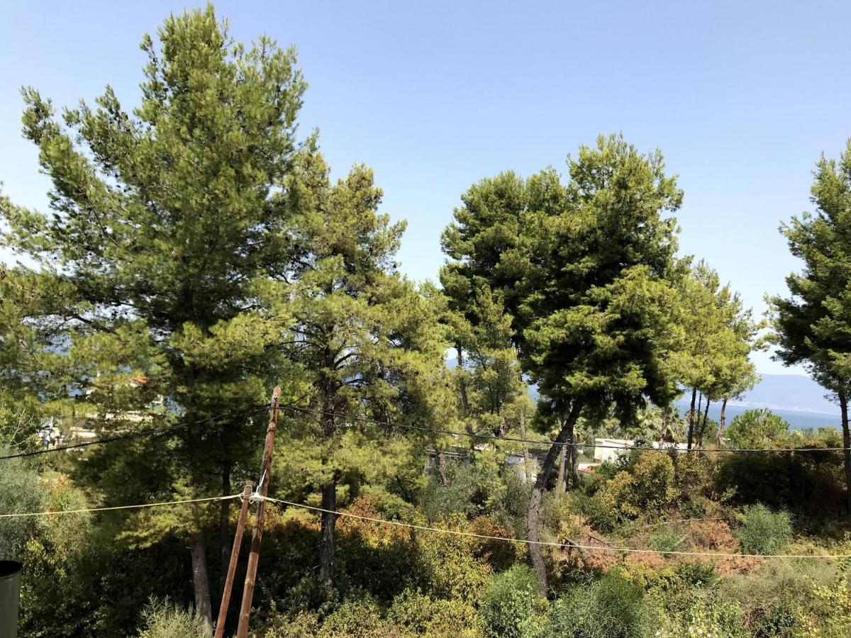 Apartment Kalypso Arkitsa