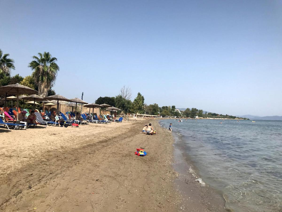 Kalypso *